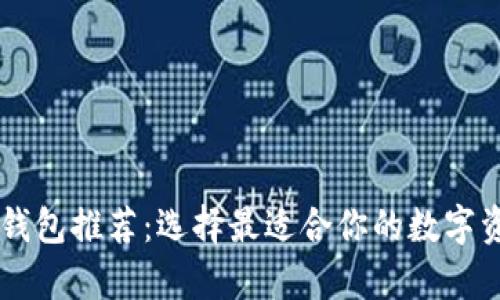 主流比特币钱包推荐：选择最适合你的数字资产储存工具