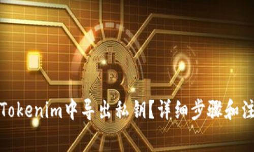 如何在Tokenim中导出私钥？详细步骤和注意事项