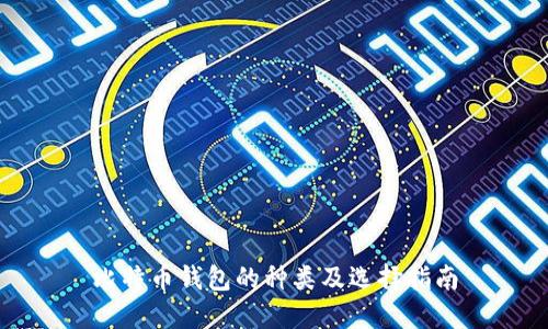比特币钱包的种类及选择指南