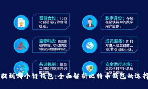 比特币提到哪个链钱包：全面解析比特币钱包的选择与使用