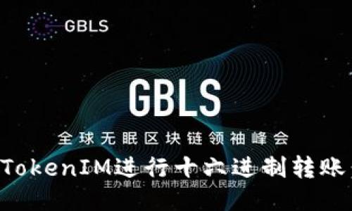 如何使用TokenIM进行十六进制转账：详细指南