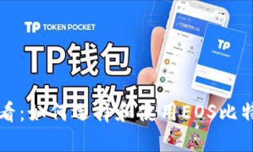新手必看：如何选择和使用EOS比特币钱包