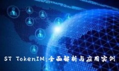 ST TokenIM：全面解析与应用