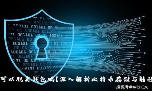 比特币可以脱离钱包吗？深入解析比特币存储与转移的本质
