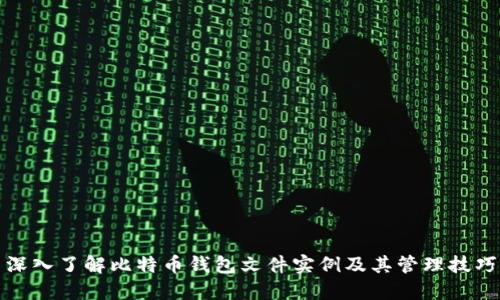 深入了解比特币钱包文件实例及其管理技巧