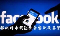 深入了解比特币钱包文件