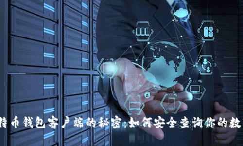 探索比特币钱包客户端的秘密：如何安全查询你的数字资产？
