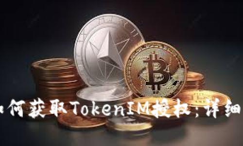 ### 如何获取TokenIM授权：详细步骤指南