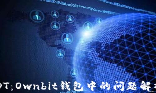 
径失去的USDT：Ownbit钱包中的问题解析与解决方案