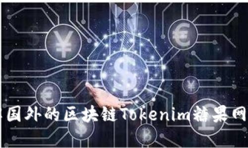 深入了解国外的区块链Tokenim糖果网及其潜力