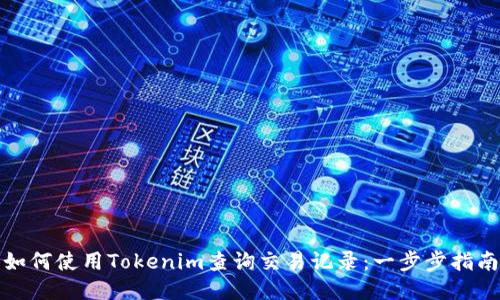 如何使用Tokenim查询交易记录：一步步指南