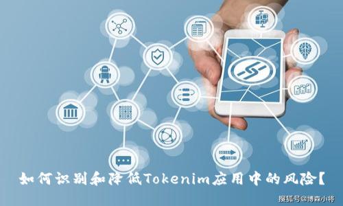 如何识别和降低Tokenim应用中的风险？