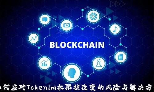 
如何应对Tokenim权限被改变的风险与解决方案
