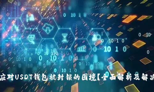 如何应对USDT钱包被封锁的困境？全面解析及解决方案