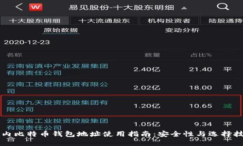 国内比特币钱包地址使用指南：安全性与选择技巧