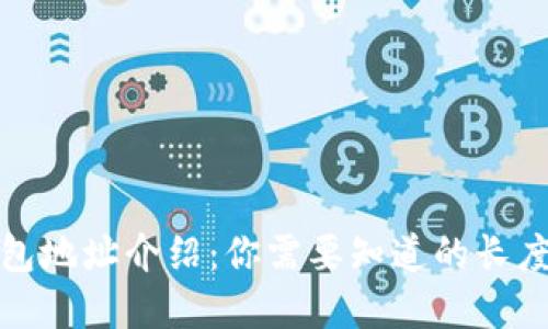 比特币钱包地址介绍：你需要知道的长度和安全性