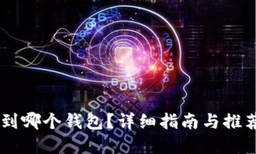 OP币提现到哪个钱包？详细指南与推荐钱包一览