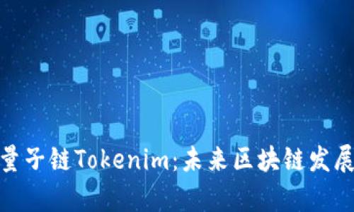 全面解析量子链Tokenim：未来区块链发展的新机遇