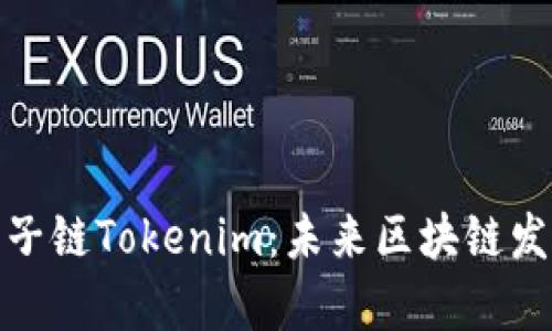 全面解析量子链Tokenim：未来区块链发展的新机遇